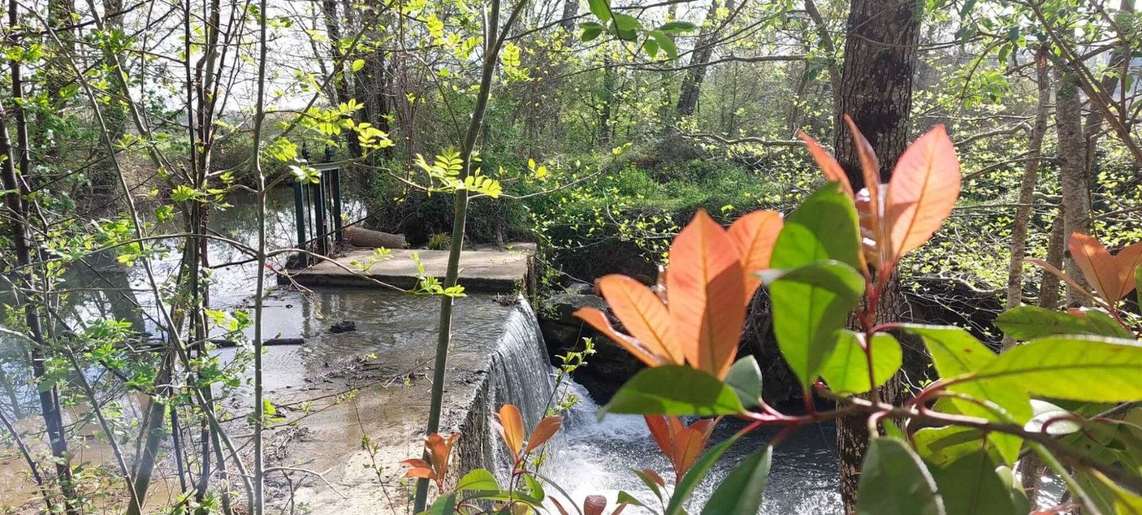 Cascade et déversoir au pied du moulin