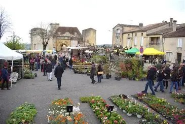 Marché hebdomadaire de Duras - produits locaux et artisanaux du Lot-et-Garonne