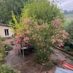 terrasse_fleurs_moulin