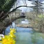 riviere vue moulin du pont fleur angle-2
